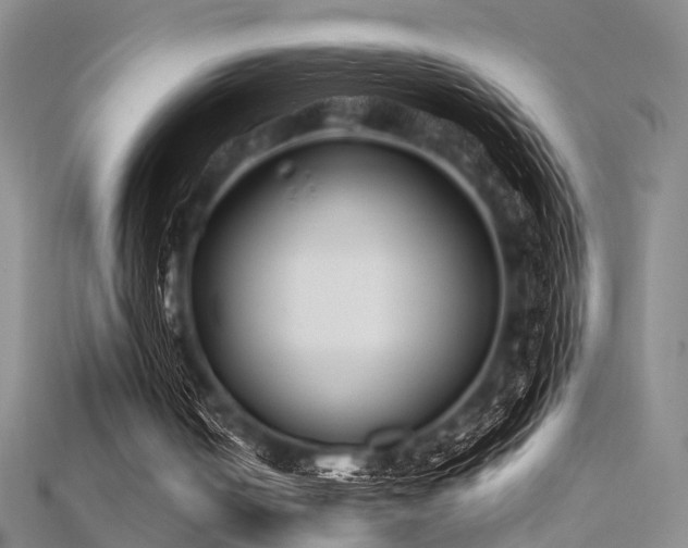 X0000112370050200908131526