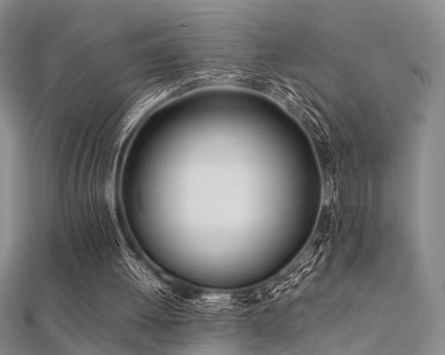 X0000112370052200908131526