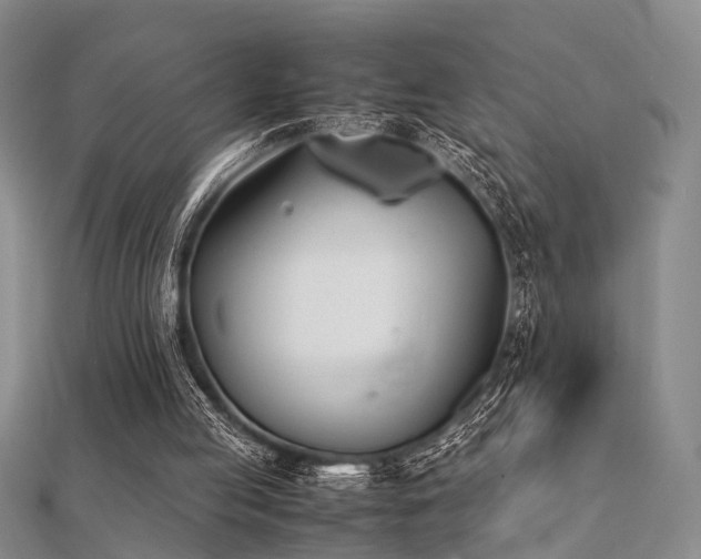 X0000112370053200908131526