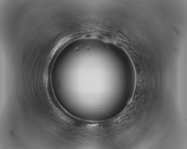 X0000112370054200908131526