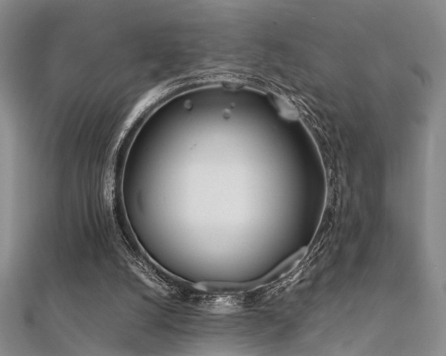 X0000112370056200908131526