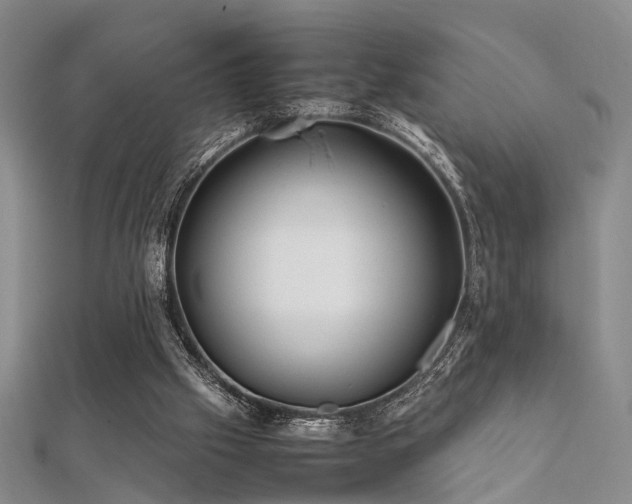 X0000112370057200908131526