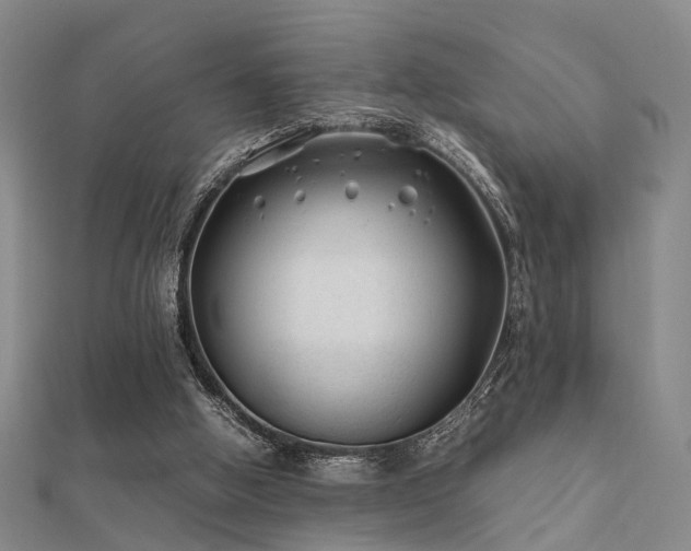 X0000112370058200908131526