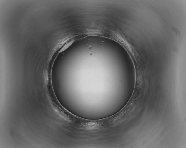 X0000112370059200908131526