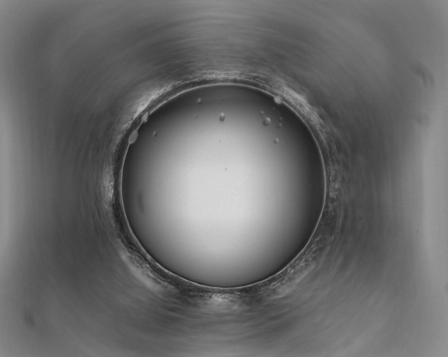 X0000112370060200908131526