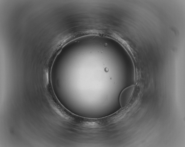 X0000112370061200908131526