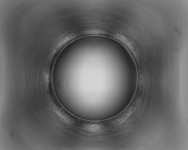 X0000112370063200908131526