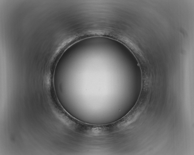 X0000112370064200908131526