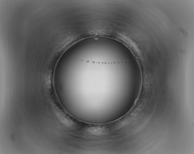 X0000112370065200908131526