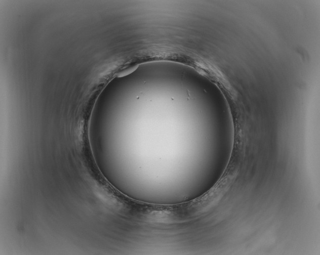 X0000112370066200908131526