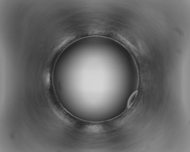 X0000112370067200908131526