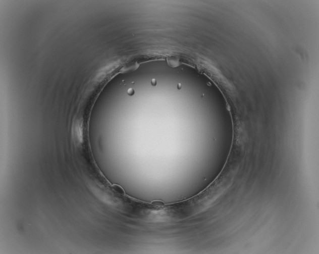 X0000112370068200908131526