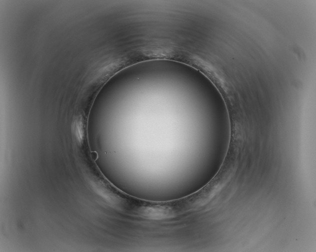 X0000112370069200908131526