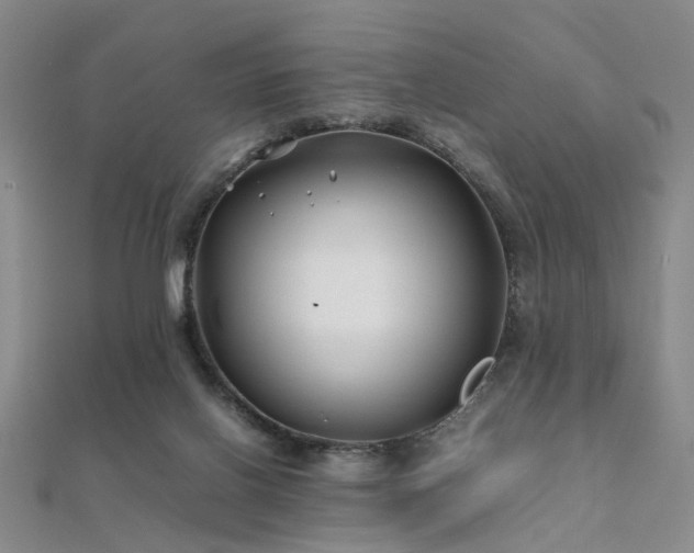 X0000112370070200908131526