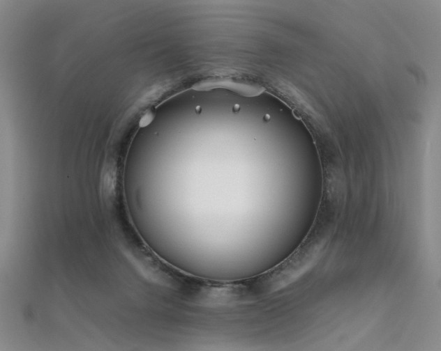 X0000112370072200908131526