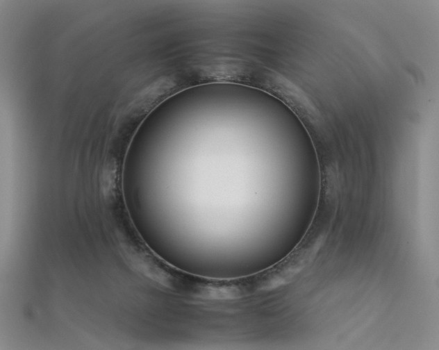 X0000112370073200908131526