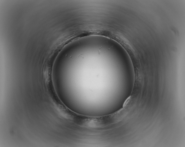 X0000112370074200908131526