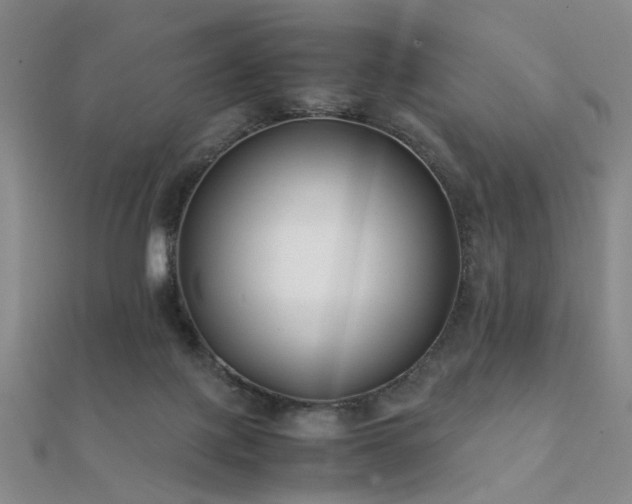 X0000112370075200908131526