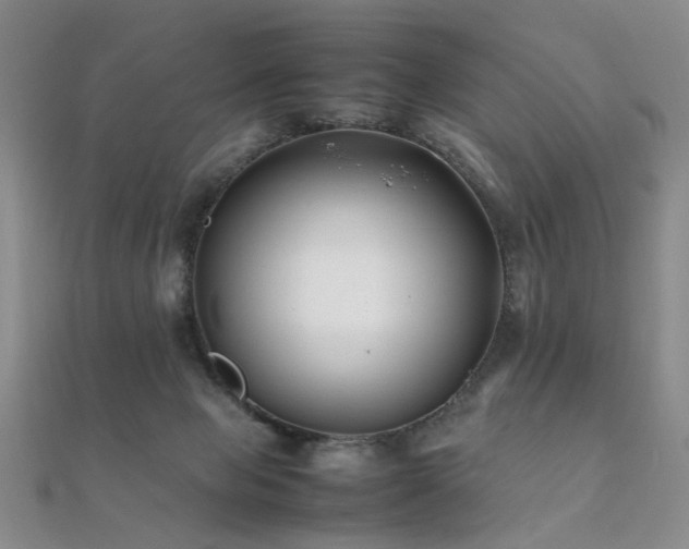 X0000112370077200908131526