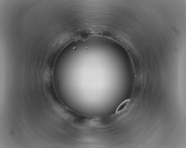 X0000112370078200908131526