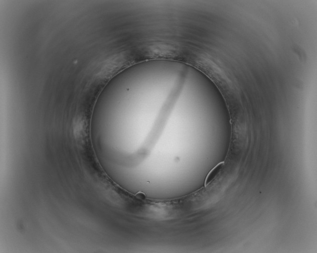 X0000112370079200908131526