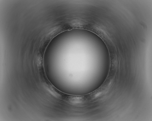 X0000112370081200908131526