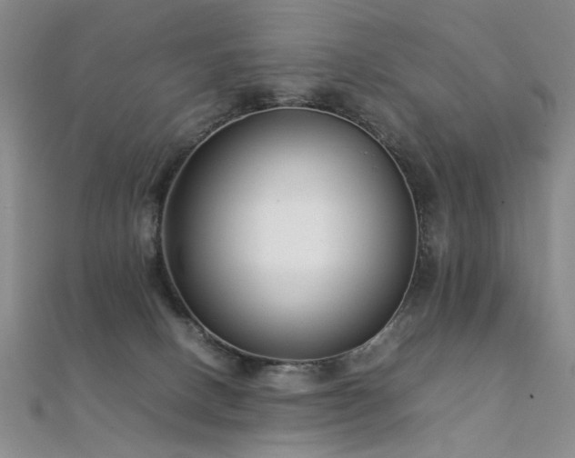 X0000112370082200908131526