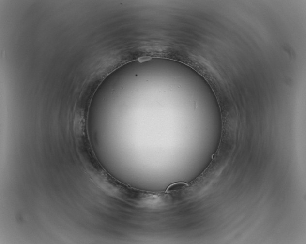 X0000112370083200908131527