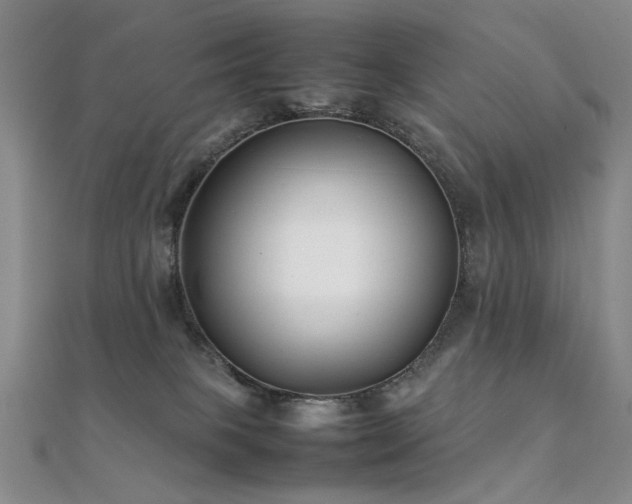 X0000112370085200908131527