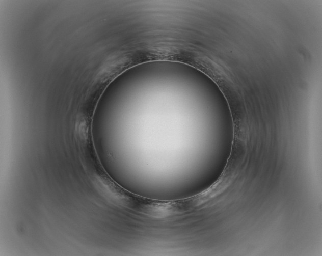 X0000112370086200908131527