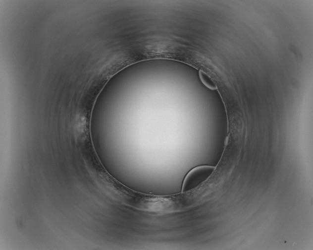 X0000112370087200908131527