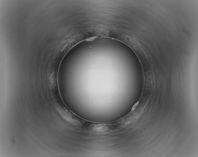 X0000112370088200908131527