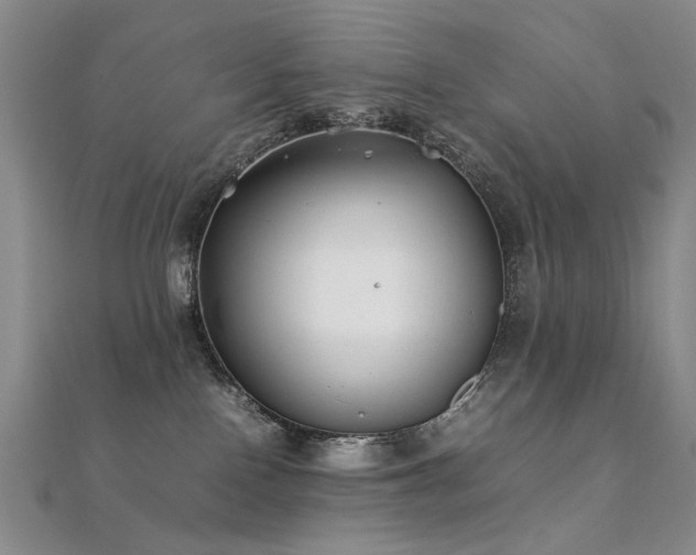 X0000112370090200908131527