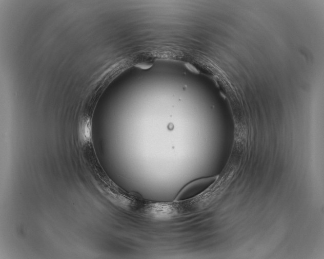 X0000112370095200908131527