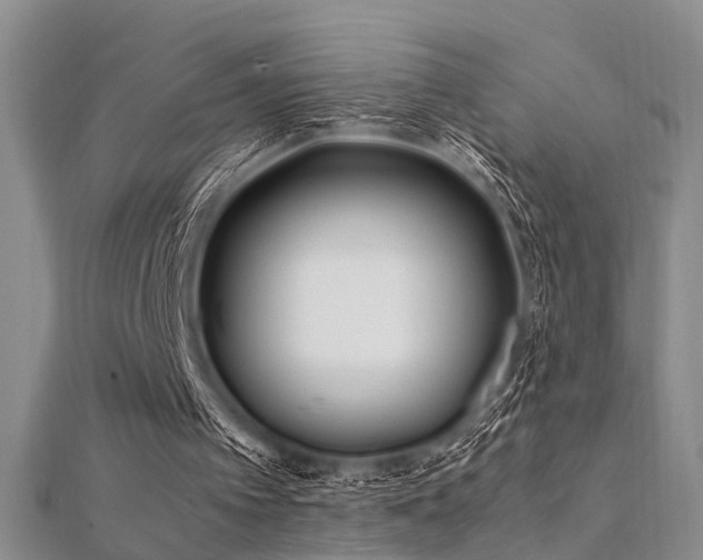 X0000112370097200908131526