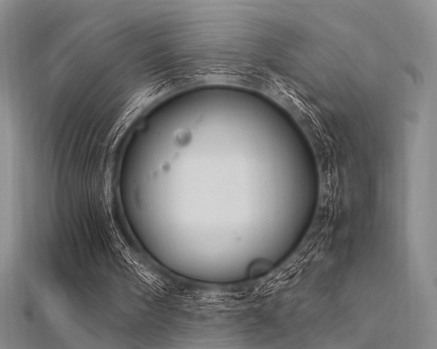 X0000112370098200908131526