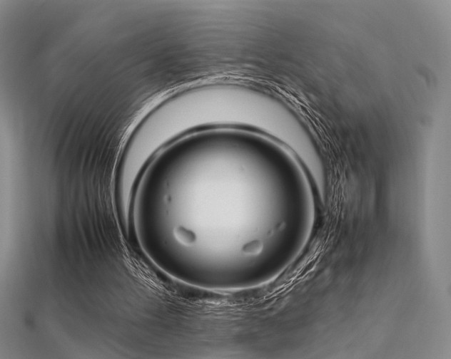 X0000112370100200908131526