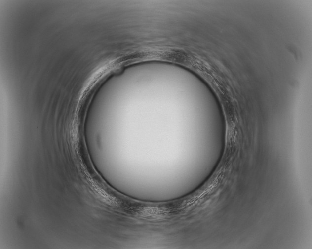 X0000112370101200908131526