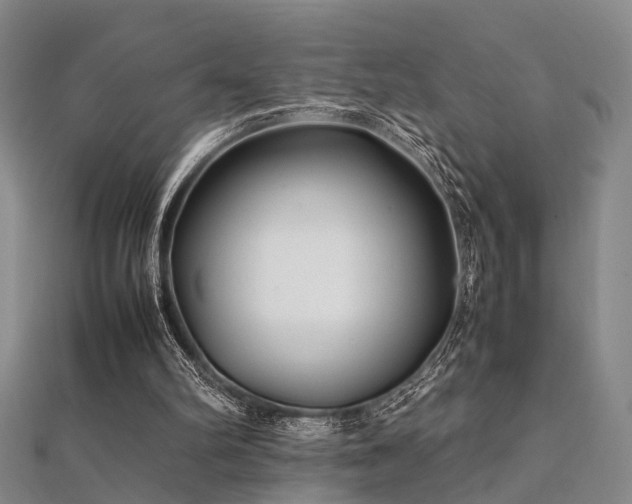 X0000112370102200908131526