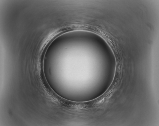 X0000112370103200908131526