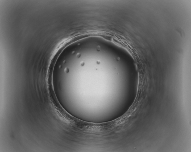 X0000112370104200908131526