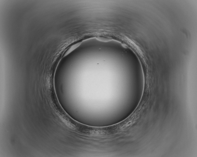 X0000112370105200908131526