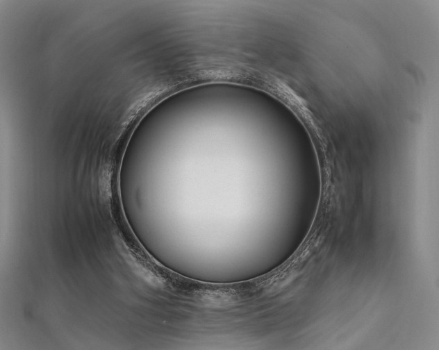 X0000112370106200908131526