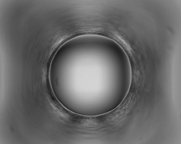 X0000112370107200908131526