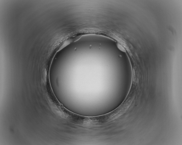 X0000112370109200908131526