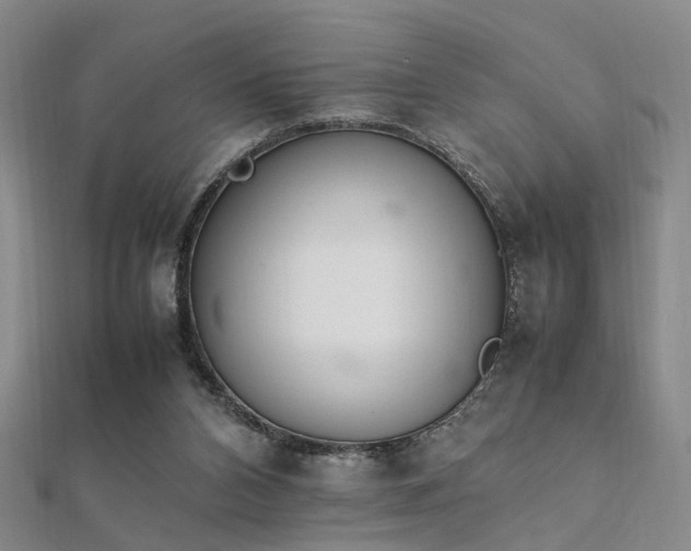 X0000112370112200908131526