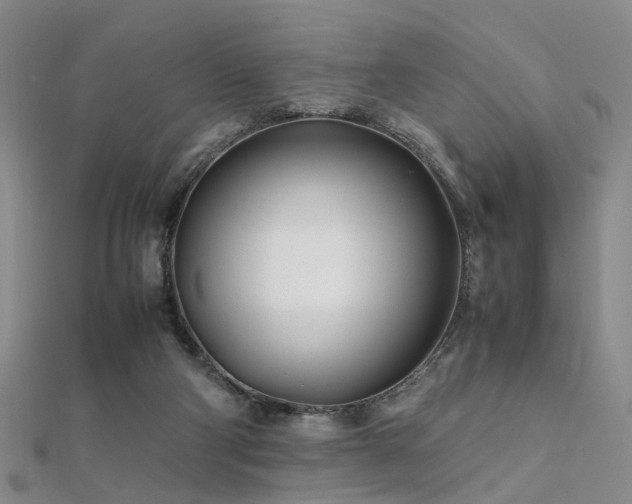 X0000112370114200908131526