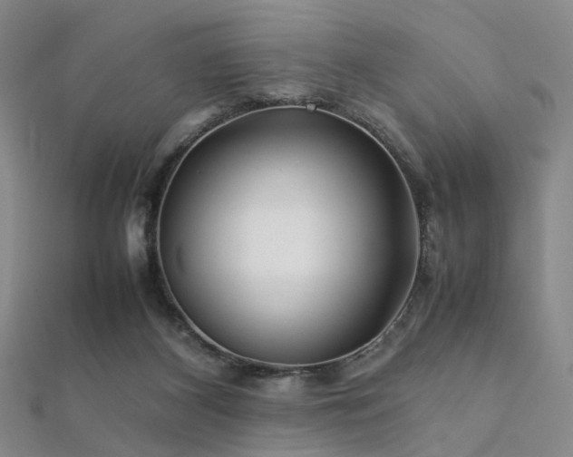 X0000112370116200908131526