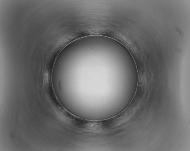 X0000112370117200908131526