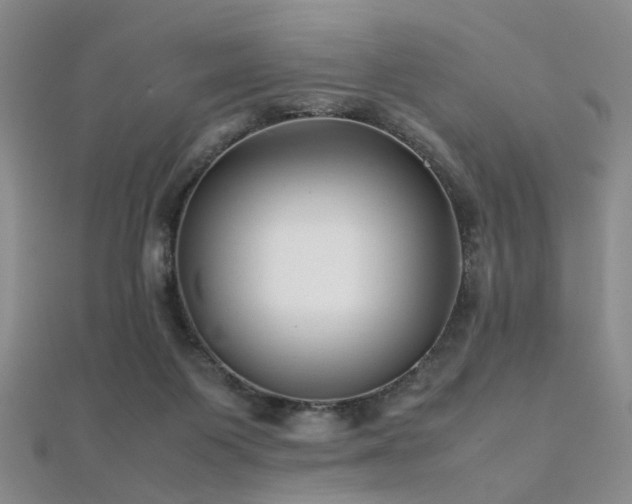 X0000112370119200908131526